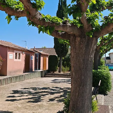 Le Mazet Sooksabai, Confort, Charme Et Découverte En Petite Camargue