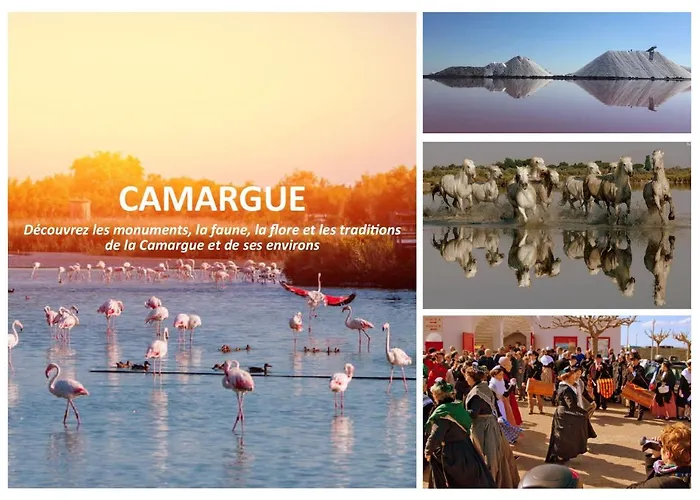 Ferienhaus Le Mazet Sooksabai, Confort, Charme Et Decouverte En Petite Camargue